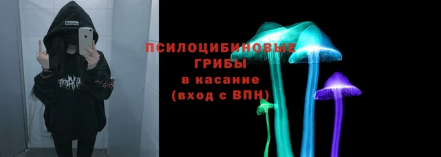 спайс Арсеньев