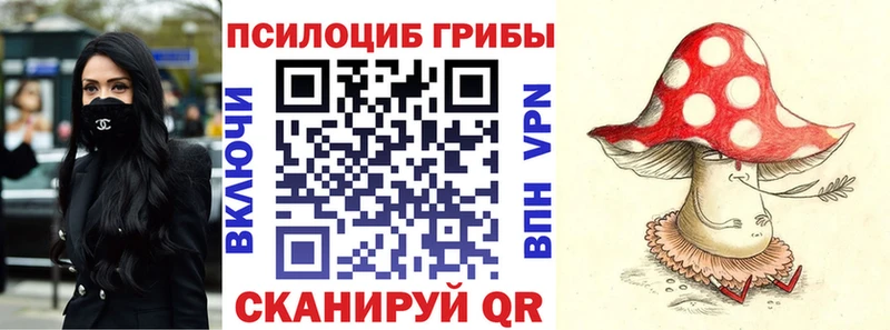 Псилоцибиновые грибы GOLDEN TEACHER  как найти   Озёры 
